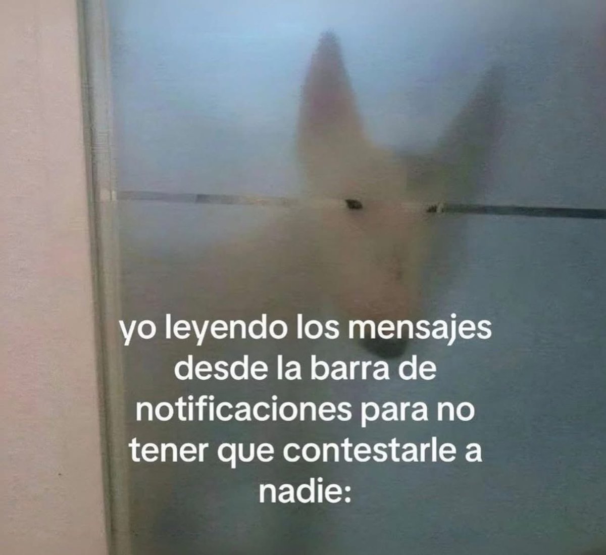 memefeos's tweet image. 