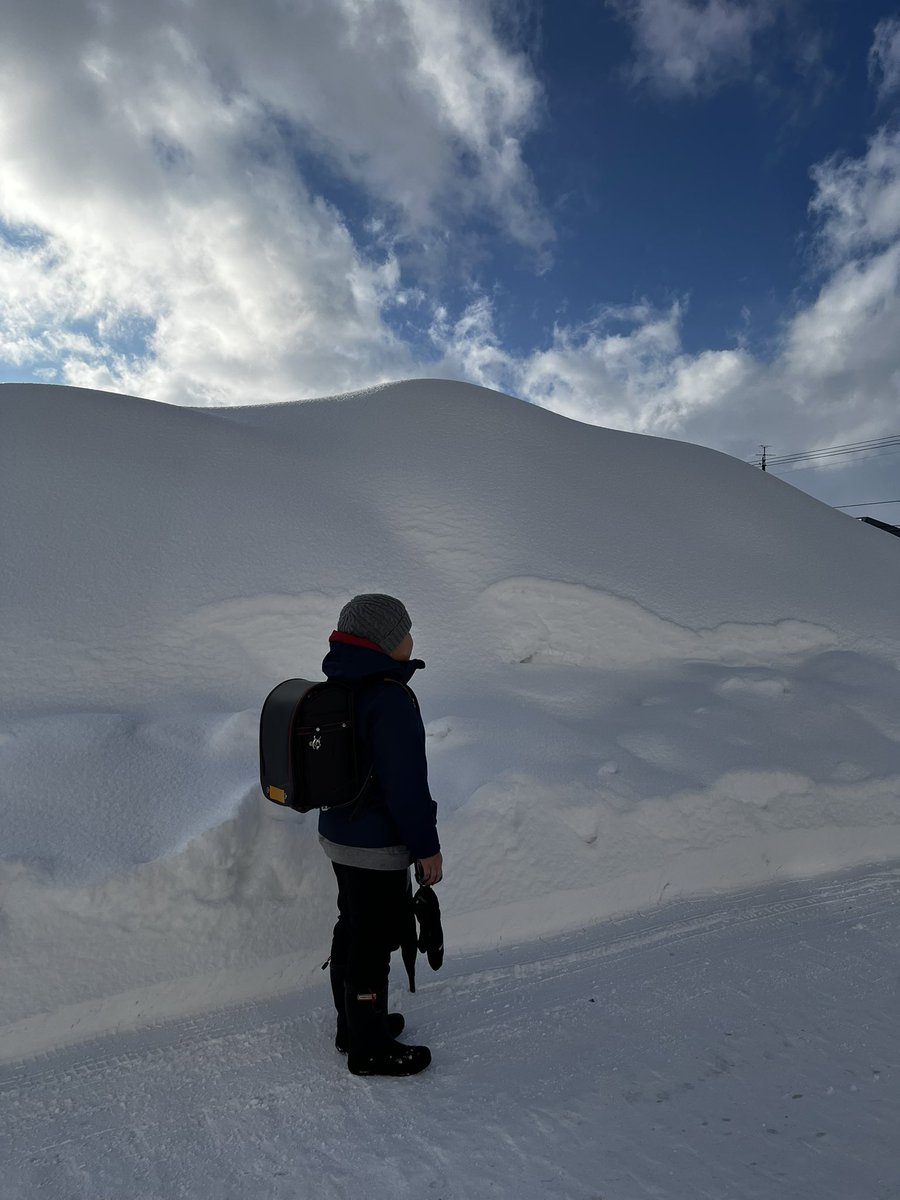 はるか@そろそろ腹筋わりなさいよ tweet media