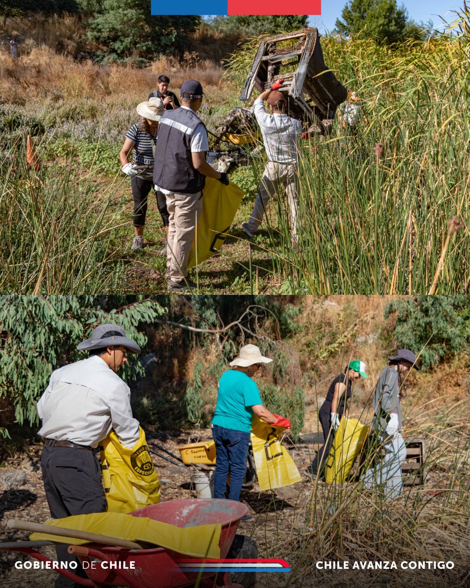 Seremi del Medio Ambiente Ñuble tweet media
