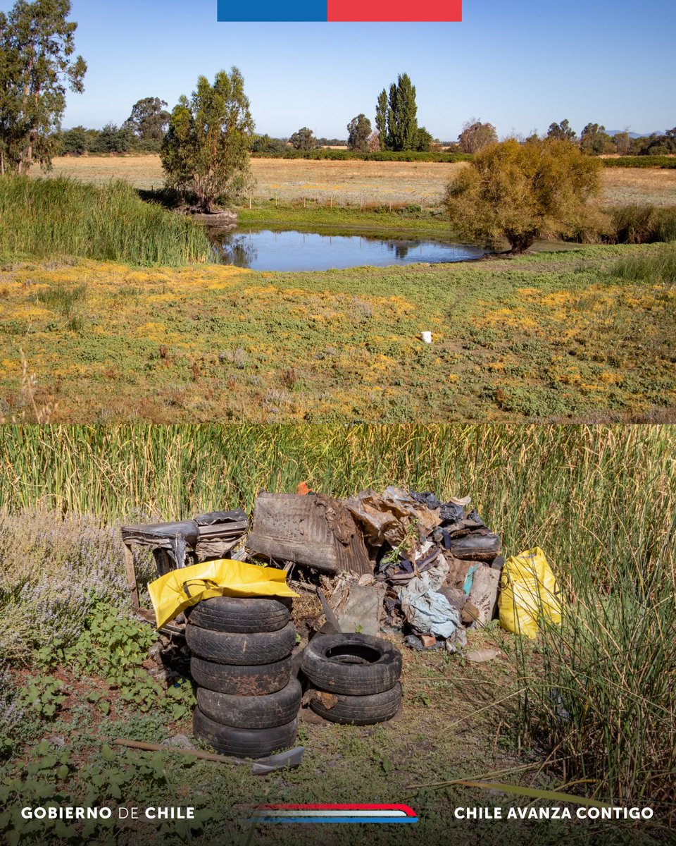 Seremi del Medio Ambiente Ñuble tweet media