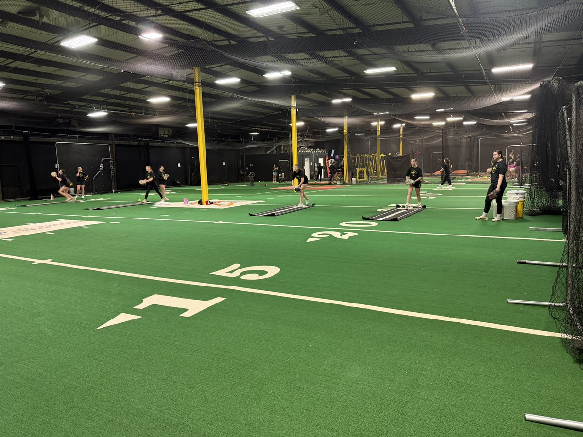 NandoSoftball's tweet image. We are so BACK! 🐅 #teamdcs