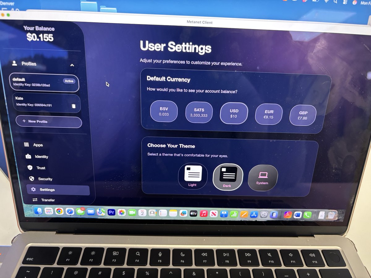 Kate_L_Mosso's tweet photo. Change your balance from sats to fiat on #metanet by going to user settings like I did here. #web3 #BSV https://t.co/niCJXstqf0