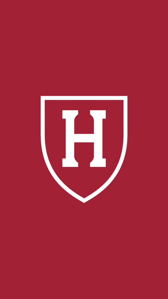 Luke Frith 3⭐️ tweet media