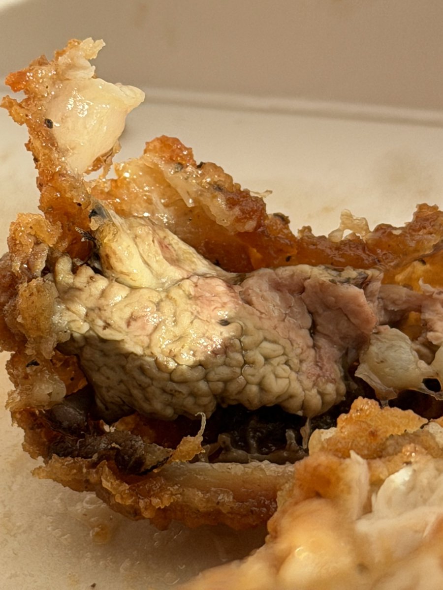 Stripes555's tweet photo. @kfc @kfc_canada How about chicken brain that my 12 year old found in his meal? Absolutely disgusting not to mention horrible customer service we received when complained to manager, what happened to KFC ?  🤮 https://t.co/1qFTgUgXhc