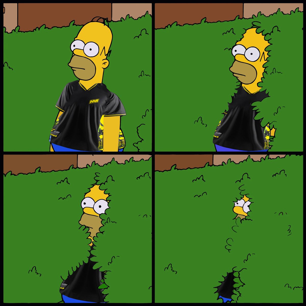 Not even close to the playoffs for <a href="/natusvincere/">NAVI</a>