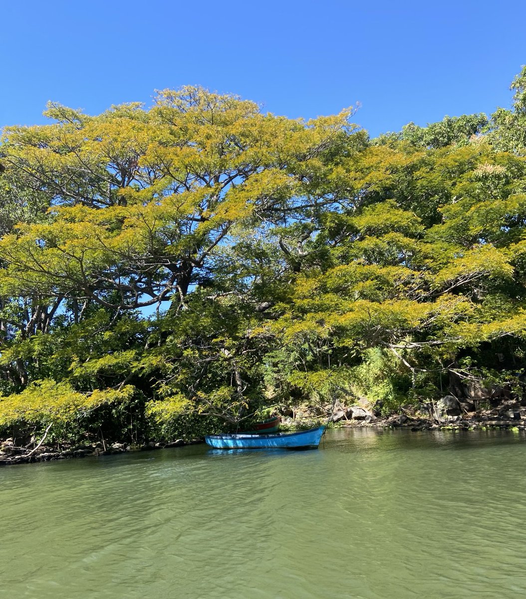 GlaspellTrees's tweet photo. Granada Nicaragua https://t.co/dFxkBQgJIS