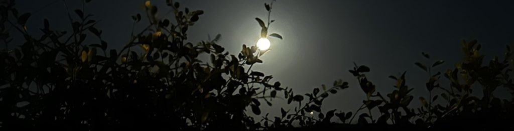 فھَـد☤. tweet media