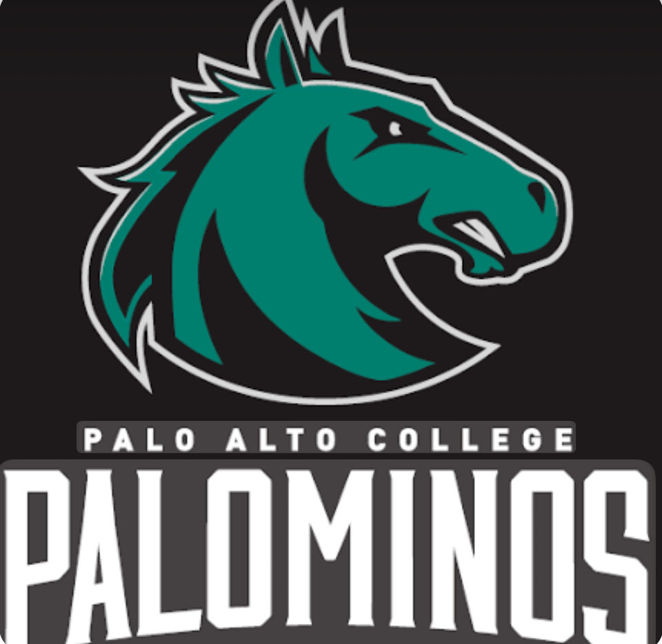 SonnyTrev23's tweet photo. Thank you Coach Brien for my first campus visit and official offer from Palo Alto College Baseball. Appreciate the coaching staff and the opportunity. #Palominos #STXbaseball #Homegrown #Offer https://t.co/CJWCRskRcS