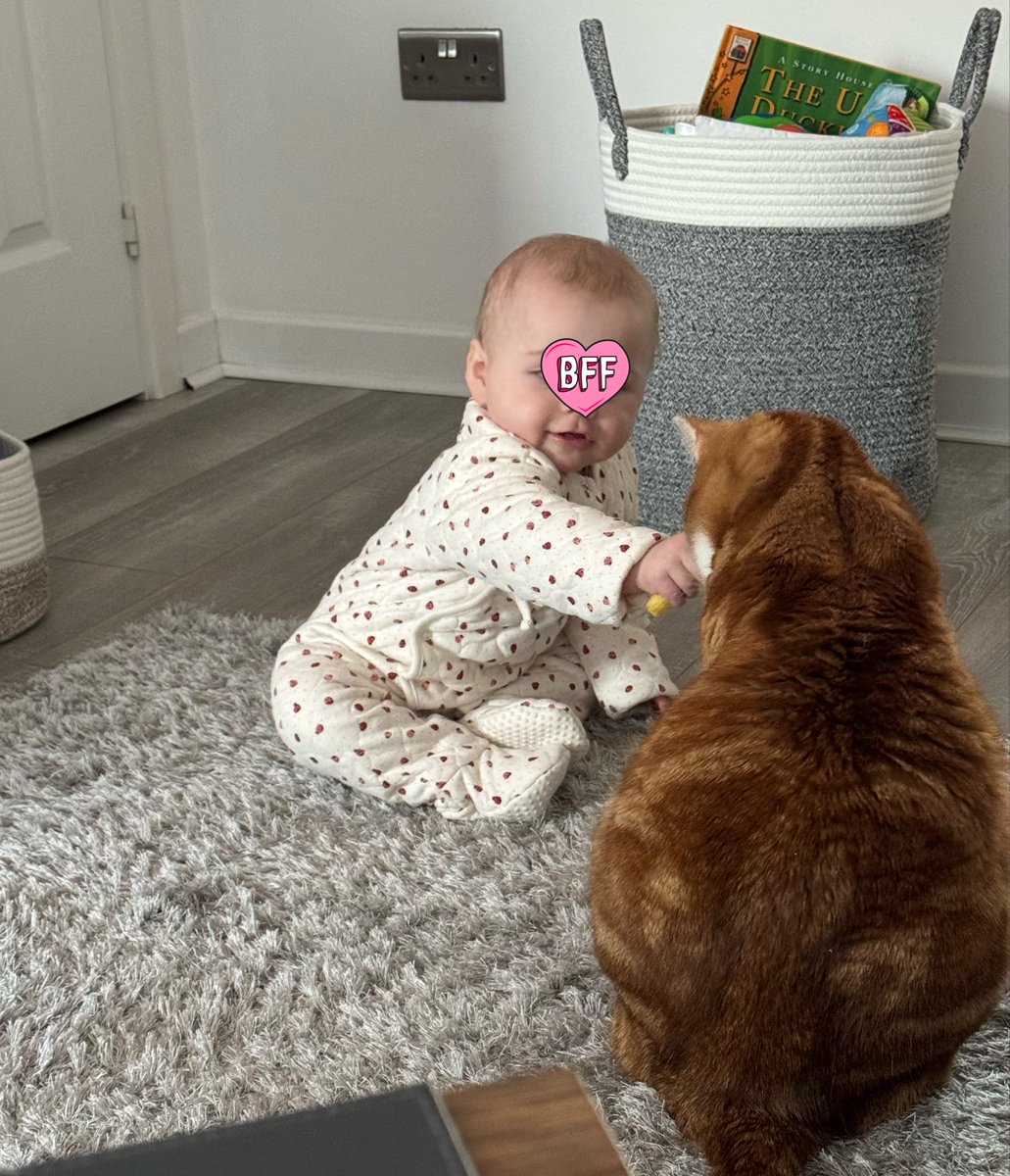 Cedric The Cat tweet media