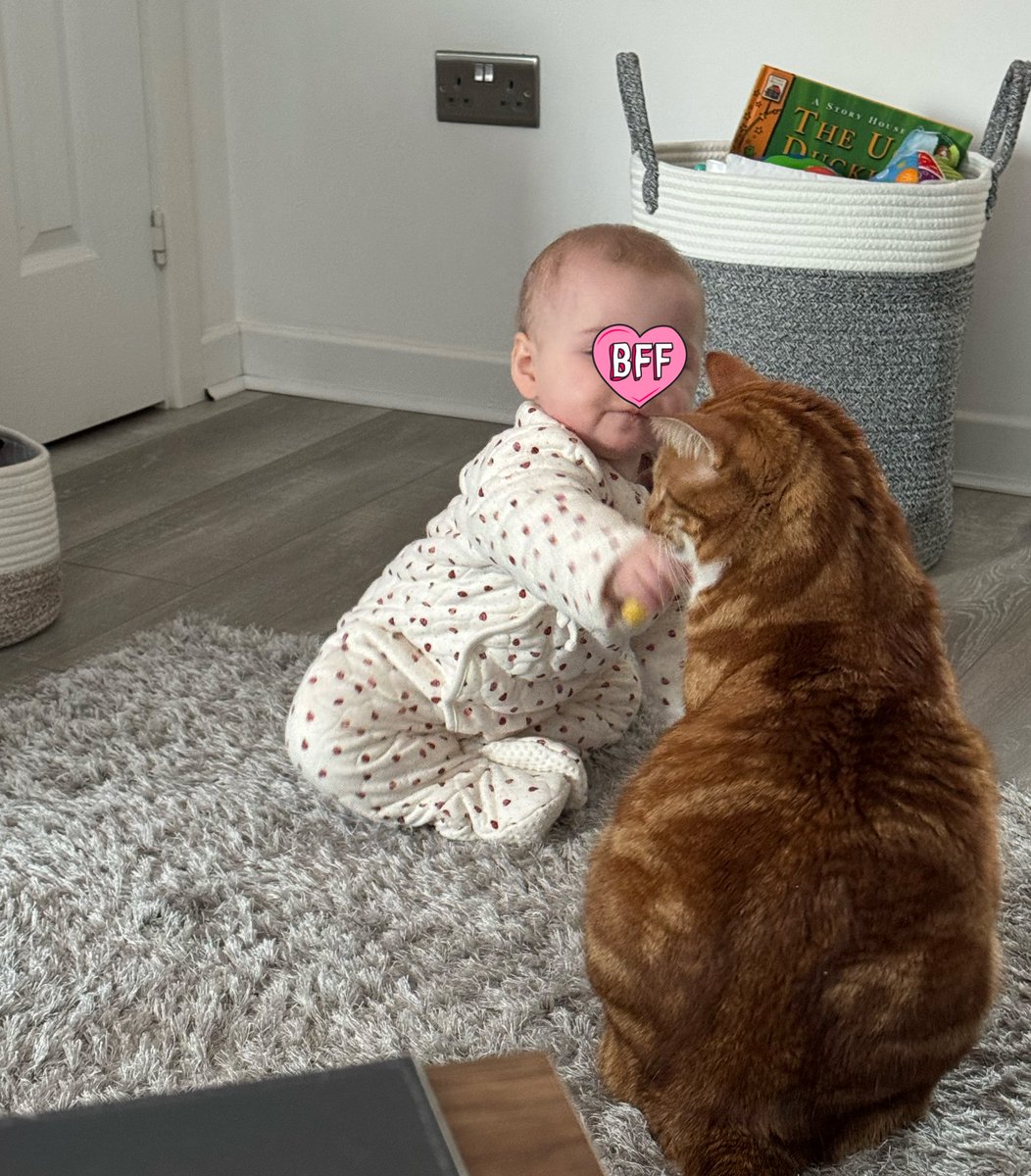 Cedric The Cat tweet media