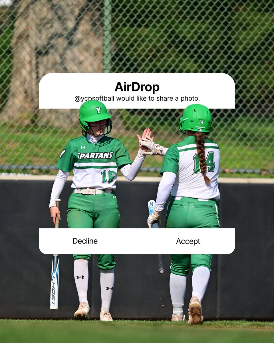 York Softball tweet media