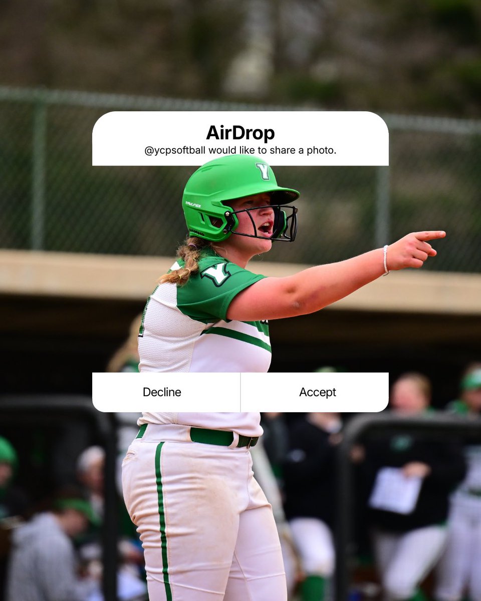 York Softball tweet media