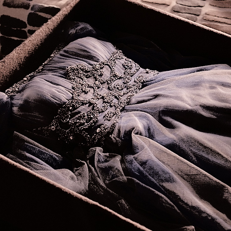 ˖ ࣪ 𝒆𝐥𝐥𝐚 tweet media