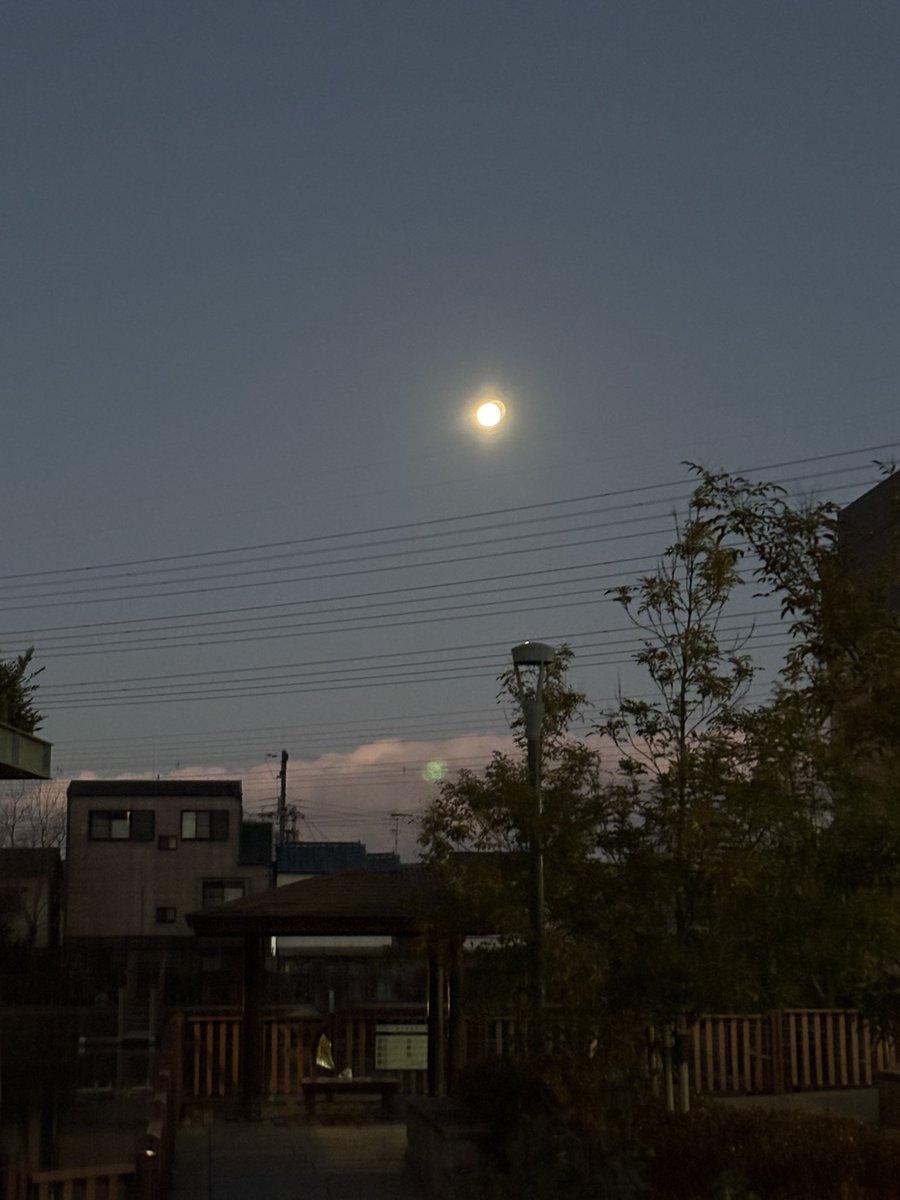 ザワッ…

ガルルルルル！！！