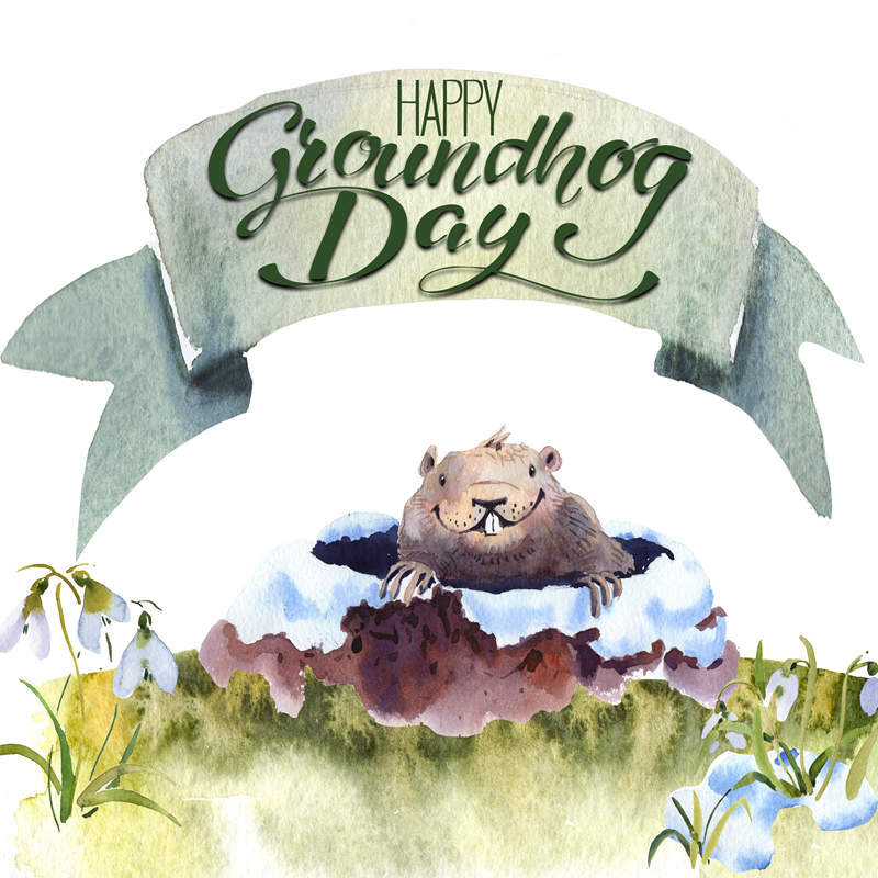 SamGiuggio's tweet photo. Groundhog Day is a reminder that patterns repeat, but growth comes from what we do within them. Consistency and clarity turn everyday routines into real momentum. https://t.co/eC2ACKzfII