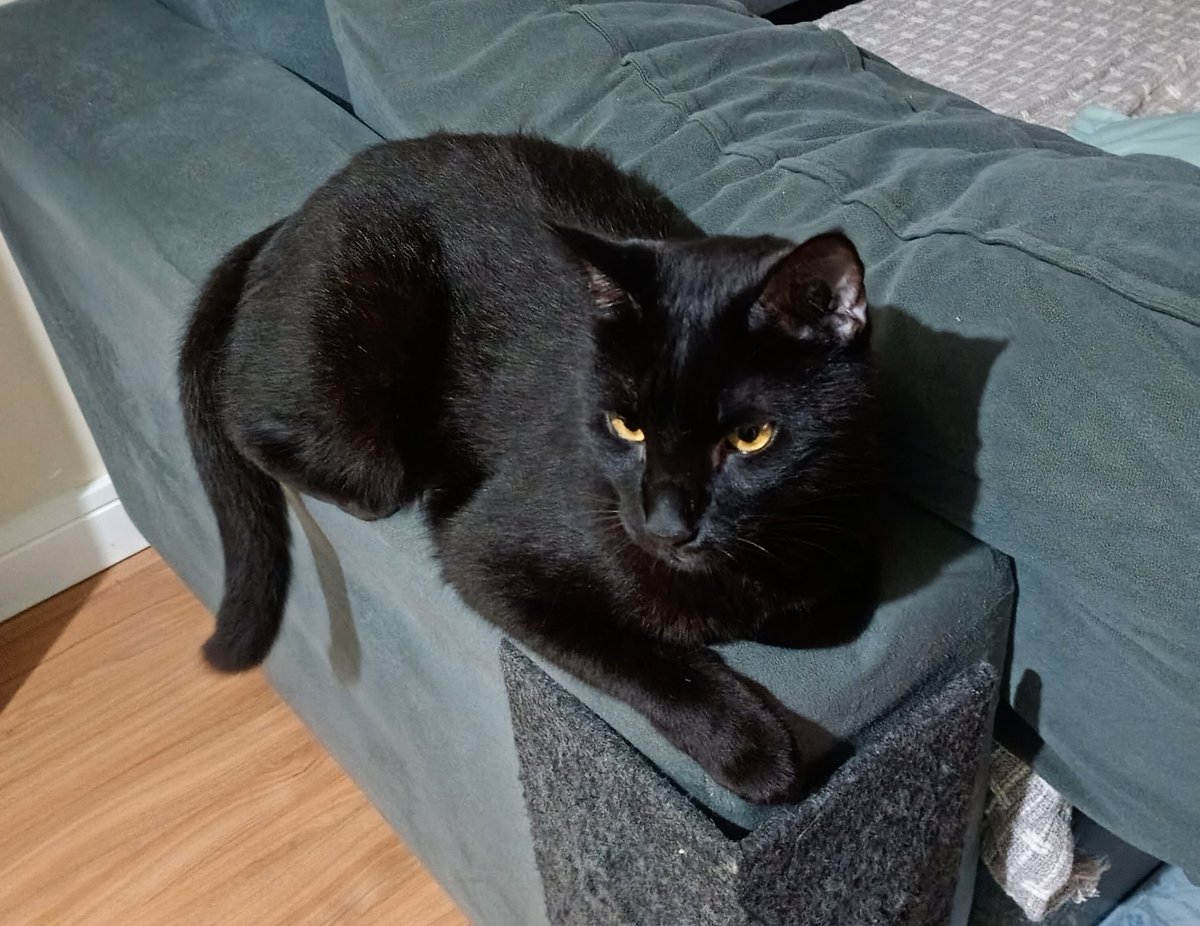 ♡ 𝐚𝐭𝐧𝐨𝐨𝐧 ♡ tweet media