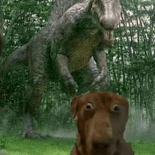 dollybils's tweet image. girl behind you