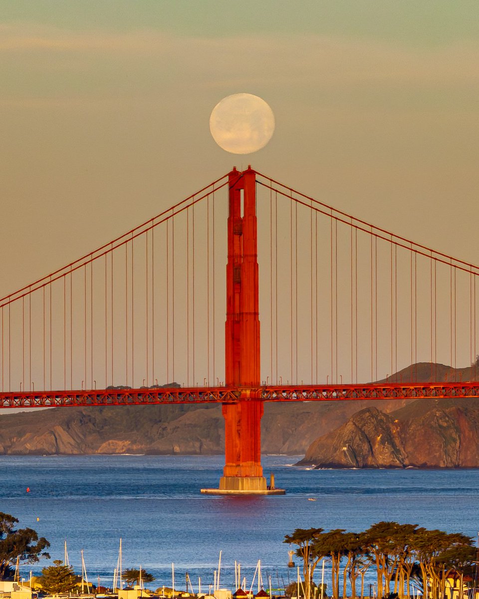 Stuart Berman tweet media