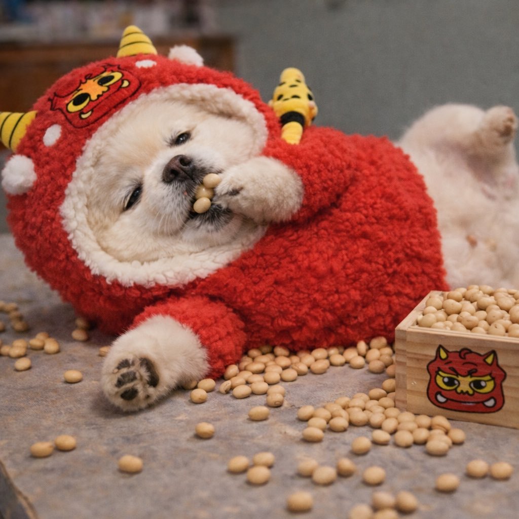 ちくわ（白ポメラニアン） (@chikuwa78107742) / Posts / X