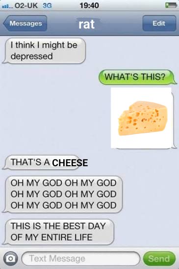 ratdent's tweet image. 