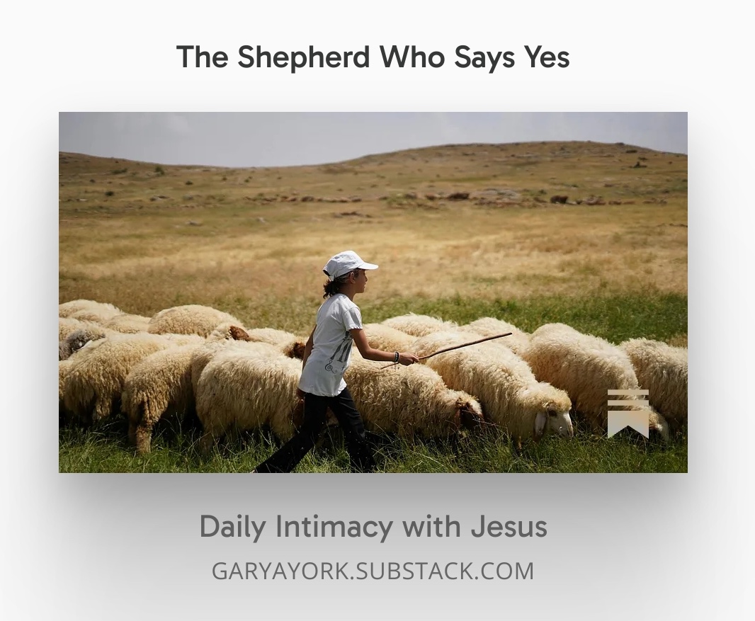 GaryAYork's tweet photo. Overlooked. Unimportant. In the fields.
David lives as though God is already present—and speaks to Him from there. https://t.co/wa7AyJbkBq