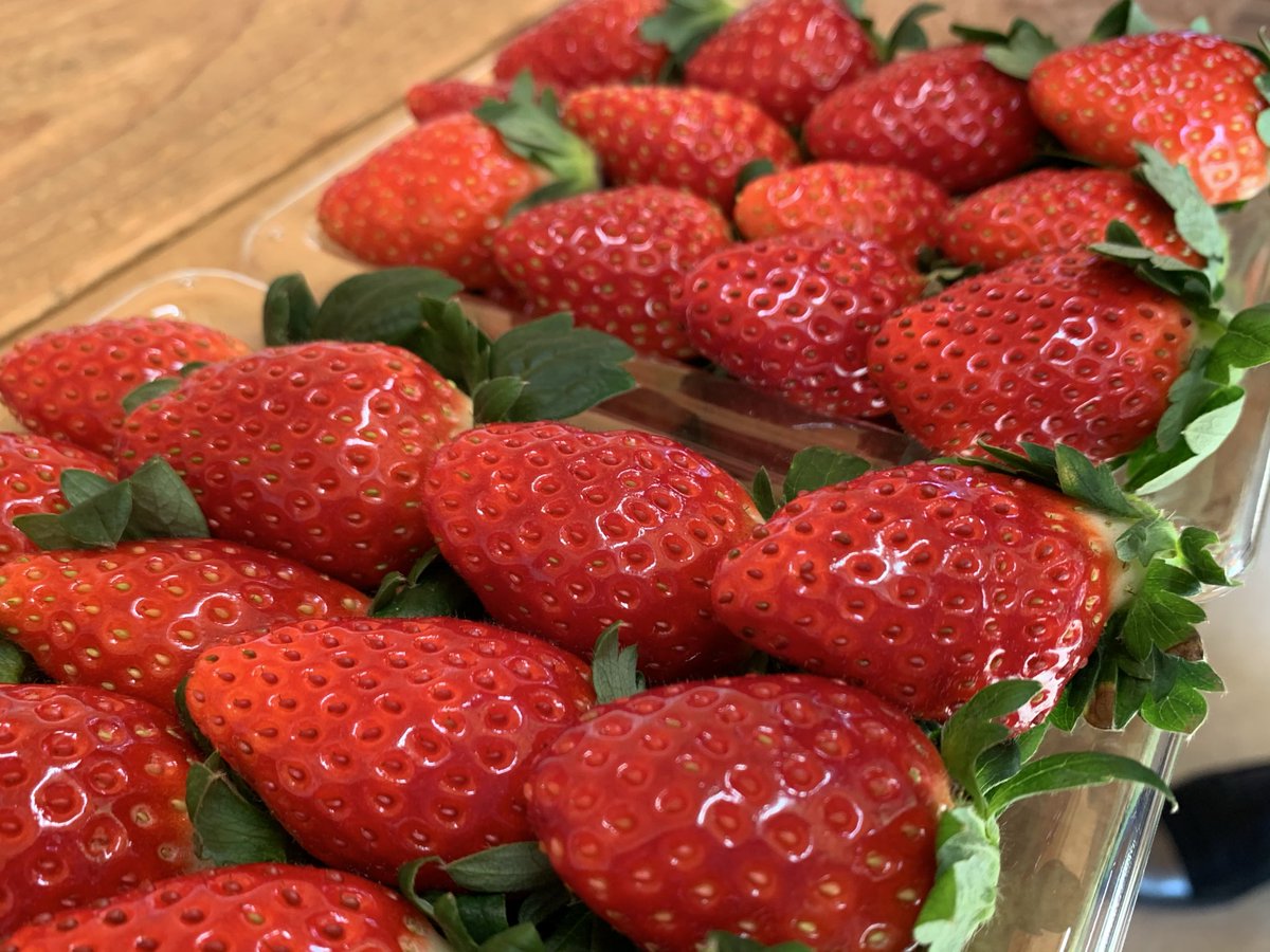 ゆずも【公式】 (@yuzumotegi) / Posts / X