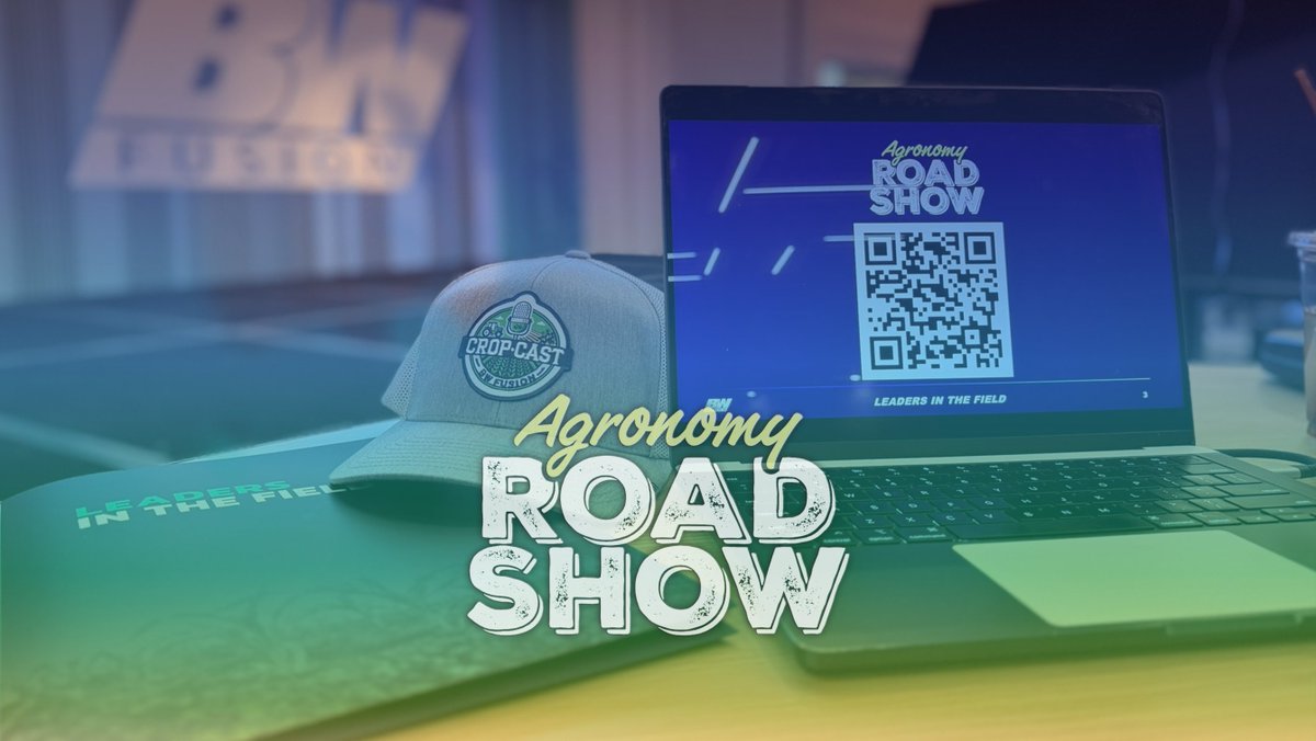 BW Fusion tweet media