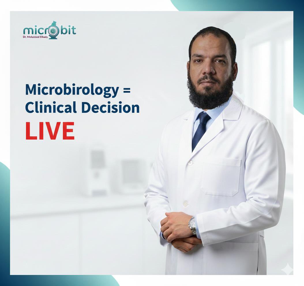 microbit Dr Mohammed Elkady tweet media