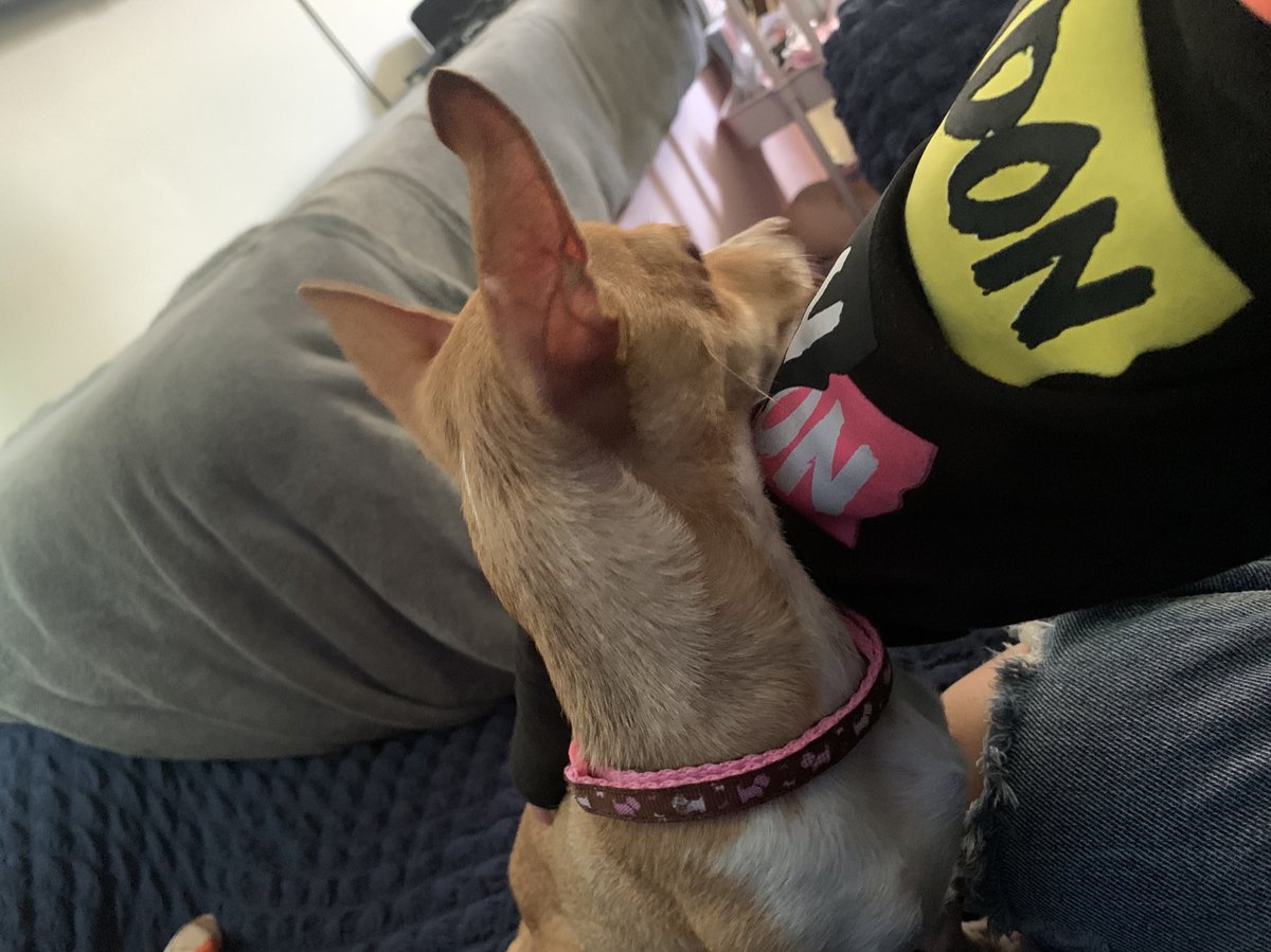 Joletthssm's tweet photo. ya creció la beba.. https://t.co/NIgEmXMuDk
