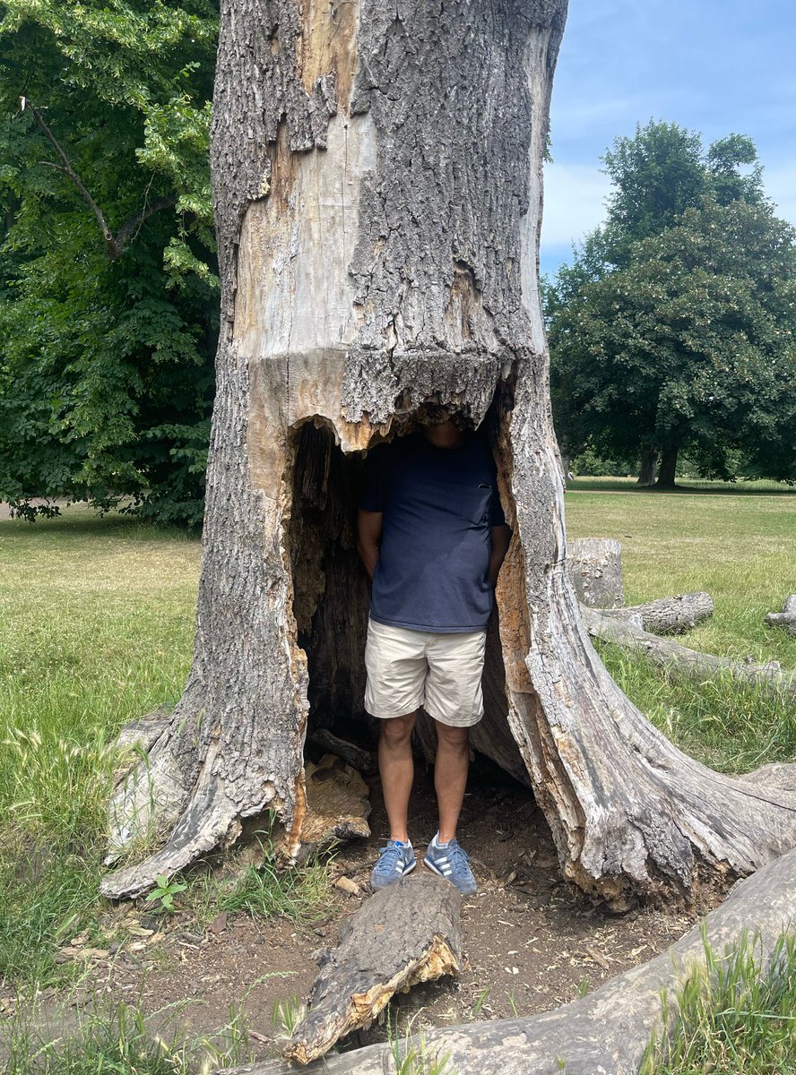 MF Hamlin tweet media