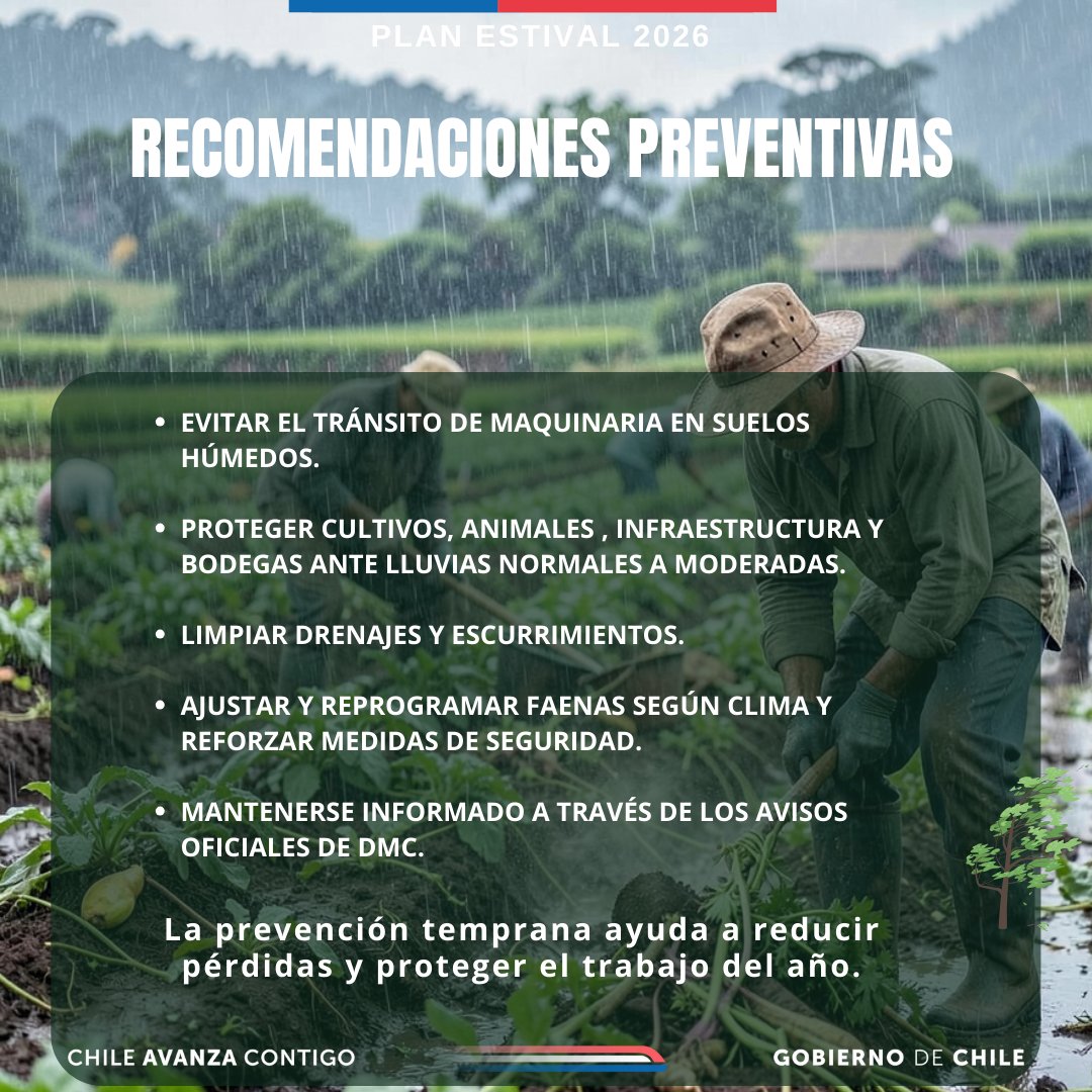 Portal Agroclimático tweet media