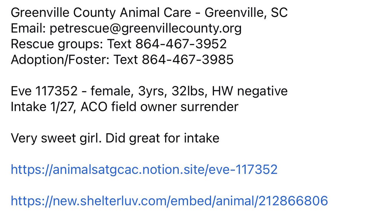 ꜱᴀᴠɪɴɢ ꜱʜᴇʟᴛᴇʀ ᴅᴏɢꜱ tweet media