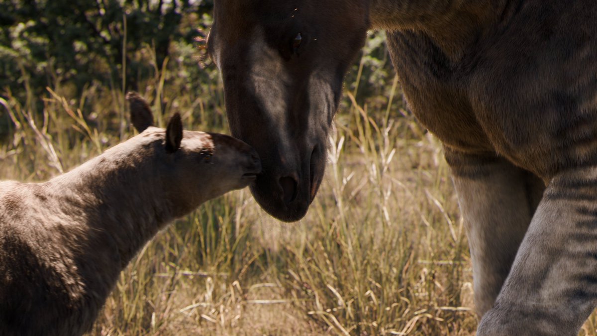 Forgotten Bloodlines: Agate | Official tweet media