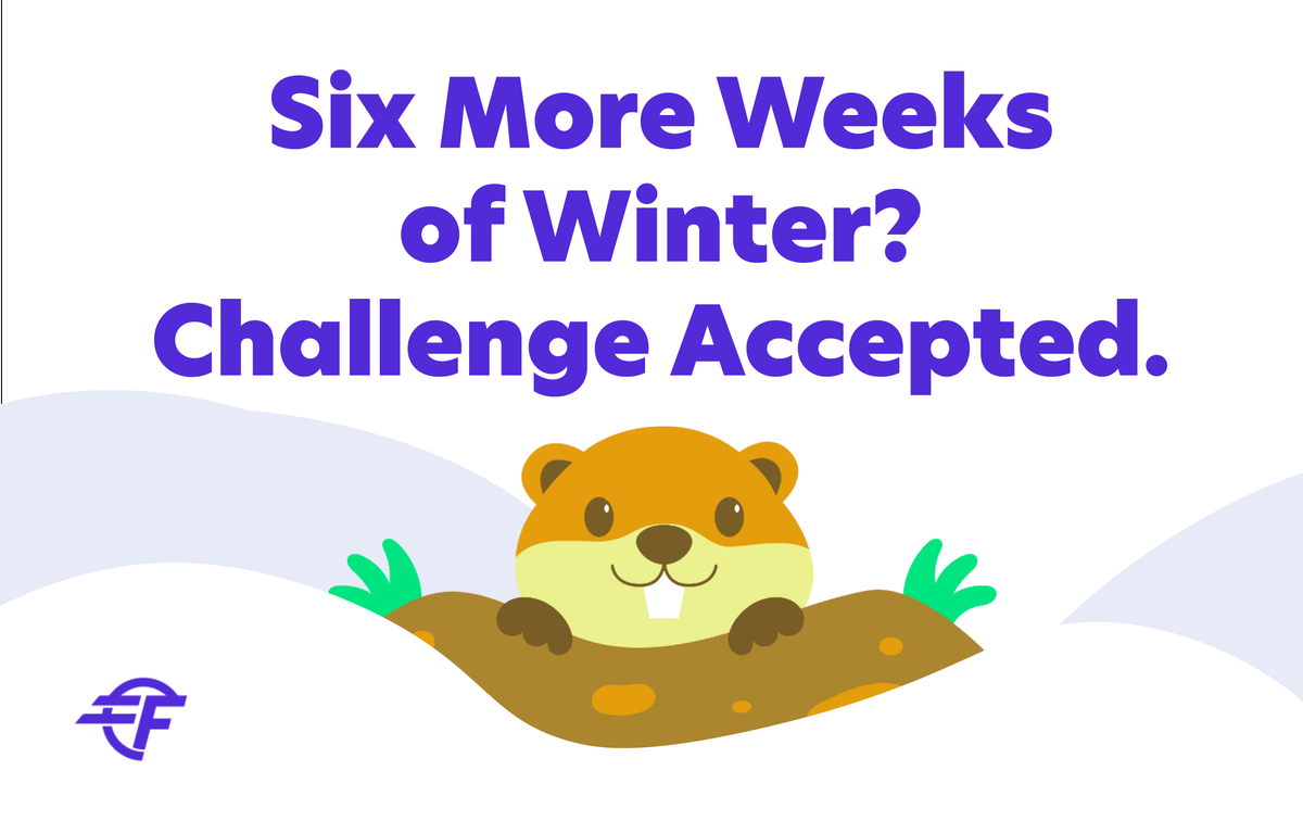 FastBridge Fiber tweet media