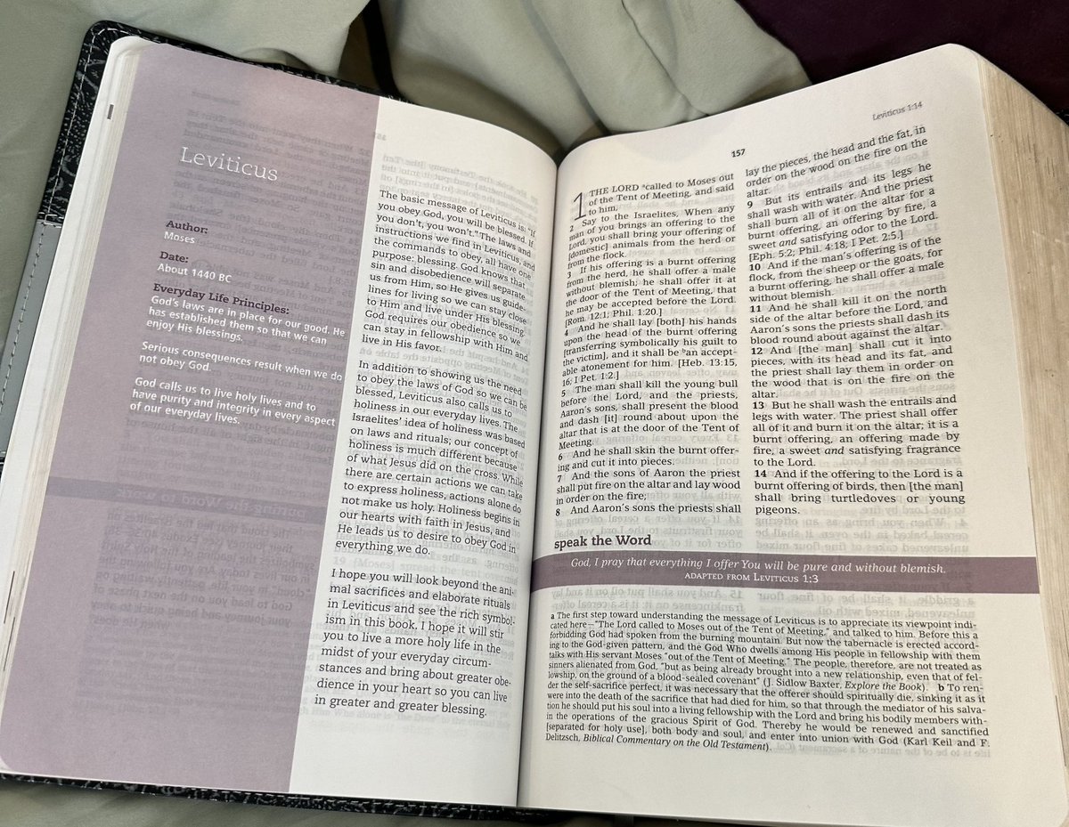 Tyler Todt tweet media