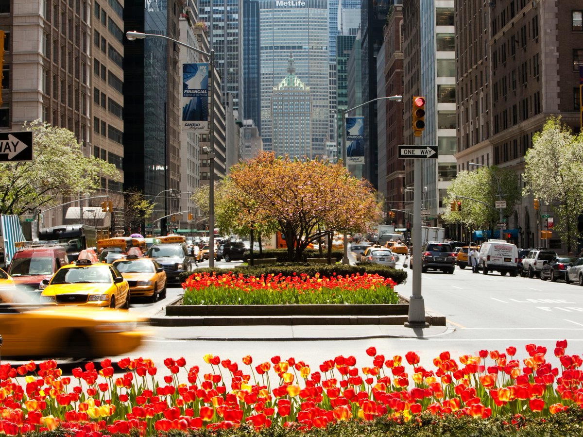 Loews_Hotels's tweet image. Here’s to fresh starts, cozy stays, and making memories—no matter what the groundhog predicts 🦔🥂🌱 #GroundHogsDay #SpringGetaway #LoewsHotels  bit.ly/3M2bDHF 

📷: @pixclem