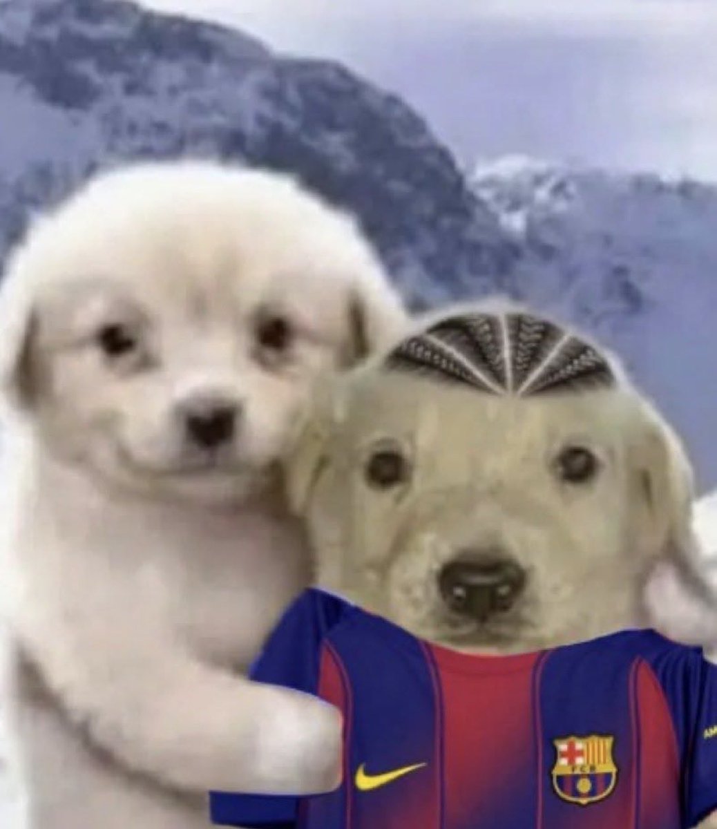 pavisaaa tweet media