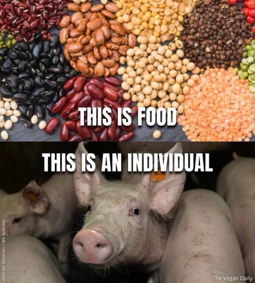 Let the difference sink in.