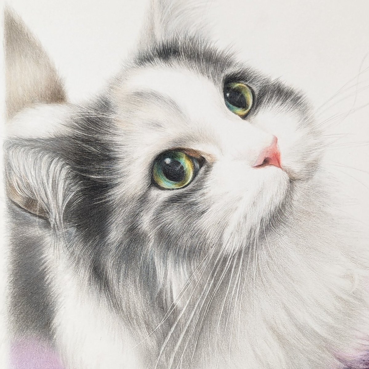 にゃん🐾
おはようございます😊
にゃんこの目は本当にビー玉みたい🪩
もふもふ感出てるかなぁ🤭✨✨
皆さんよい週末を🩷

ご用命はこちらから↓
pet.easy-myshop.jp

#drawing #ペット肖像画sedam #色鉛筆画 #ぷち似顔絵 ＃ペット肖像画 #ペットの絵かき #ペットのいる暮らし #ペット肖像画