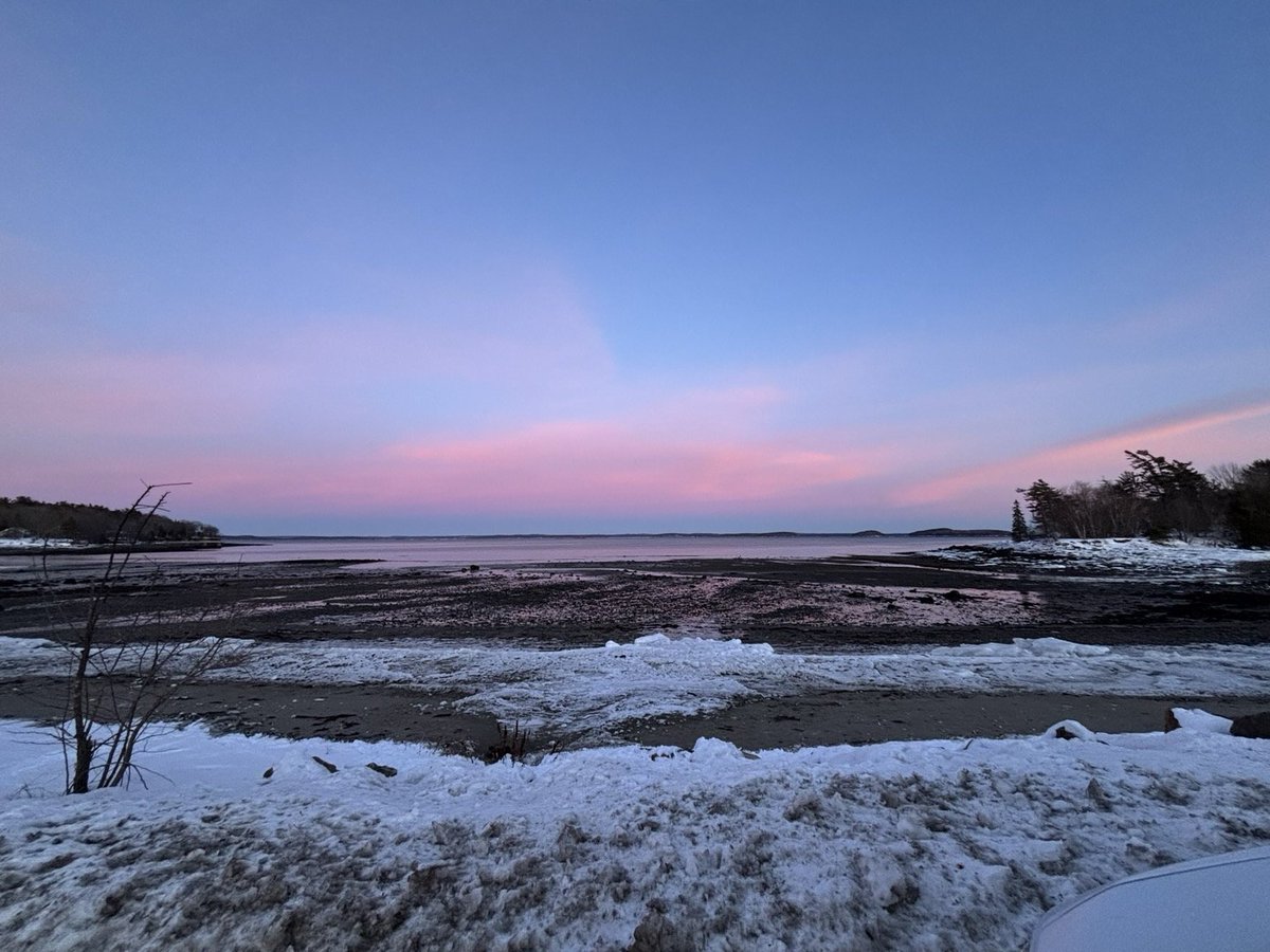 +Zaal ⏻ (on farcaster) tweet media