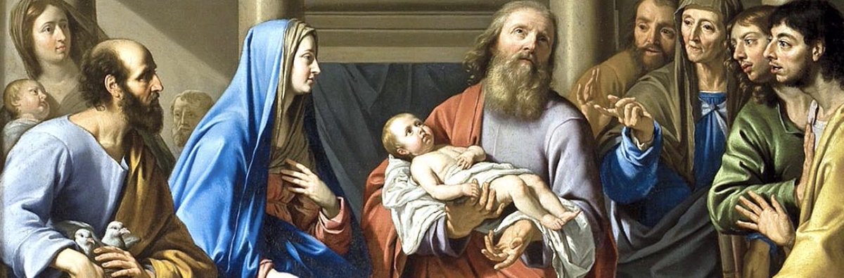 The Sheer Goodness 🕊️ tweet media