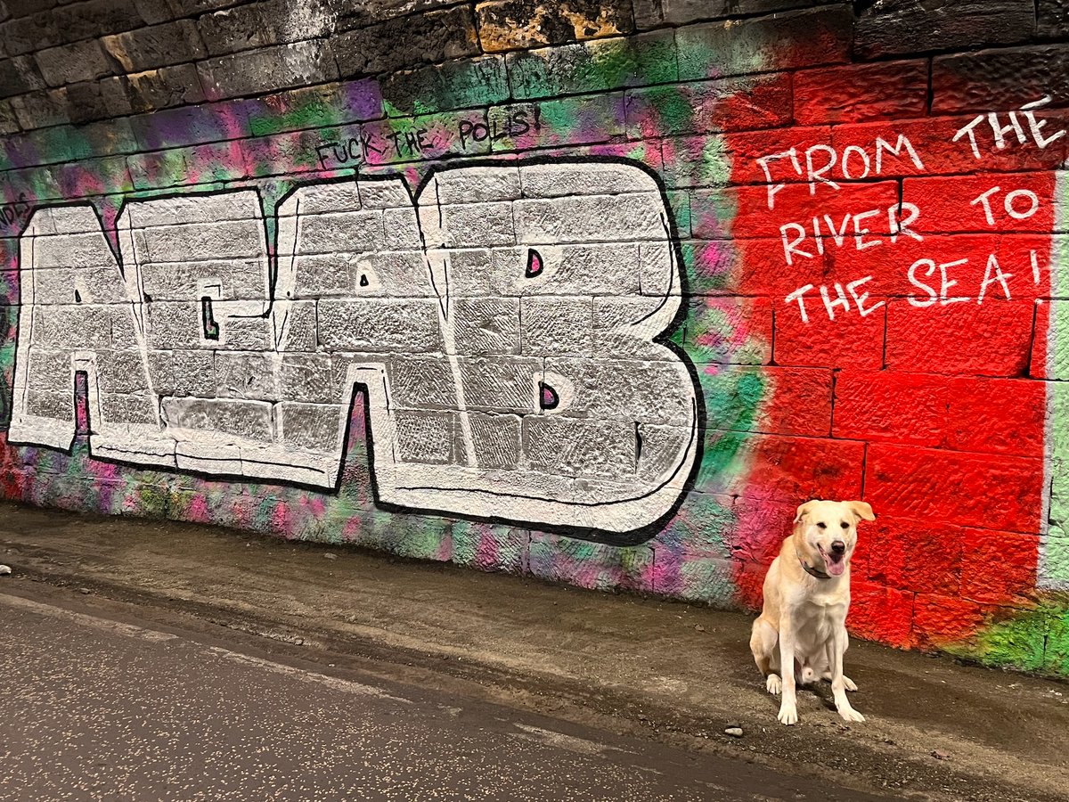 Julie Ann of Rohan tweet media