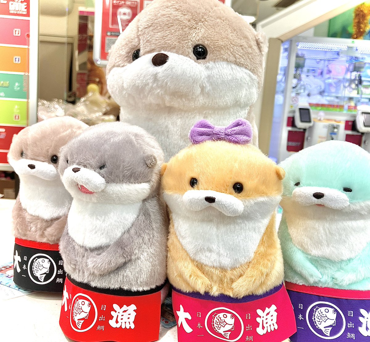 担当者イチオシプライズ✨】 きゅるきゅる✨のお目目🥺🥺がとっても