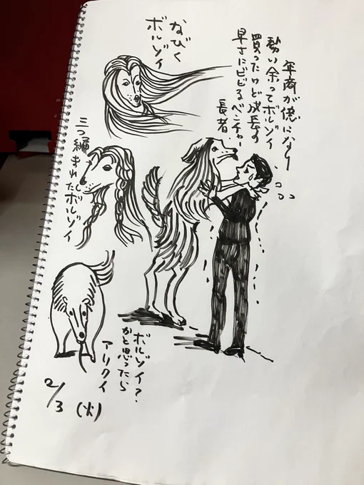 川のみんな犬が好きみたいなので今日の昼休みはボルゾイ描きました。 