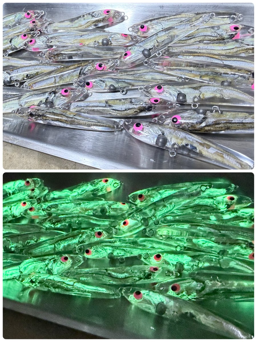 準備完了やで^ ^