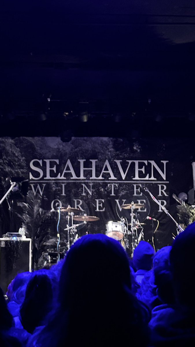 scallop girl tweet media