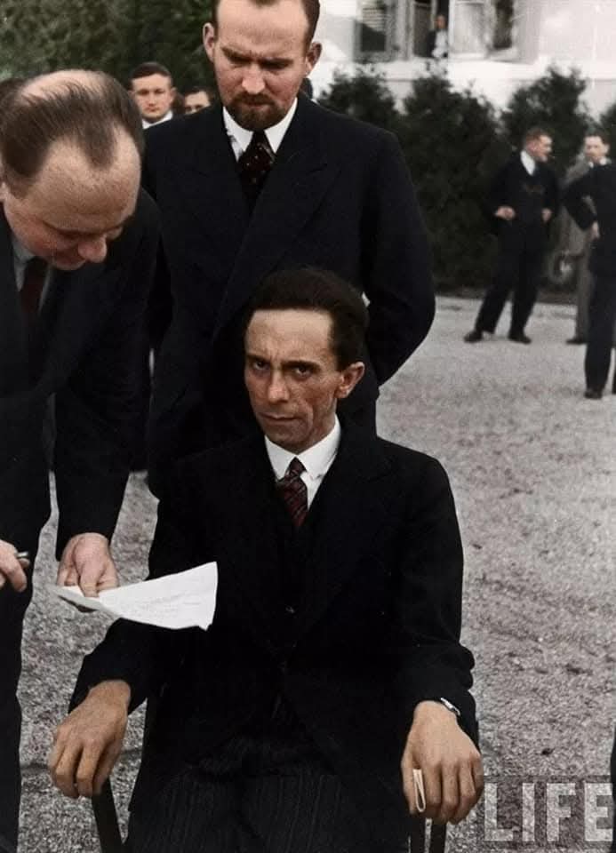 DingDongBingBong tweet media