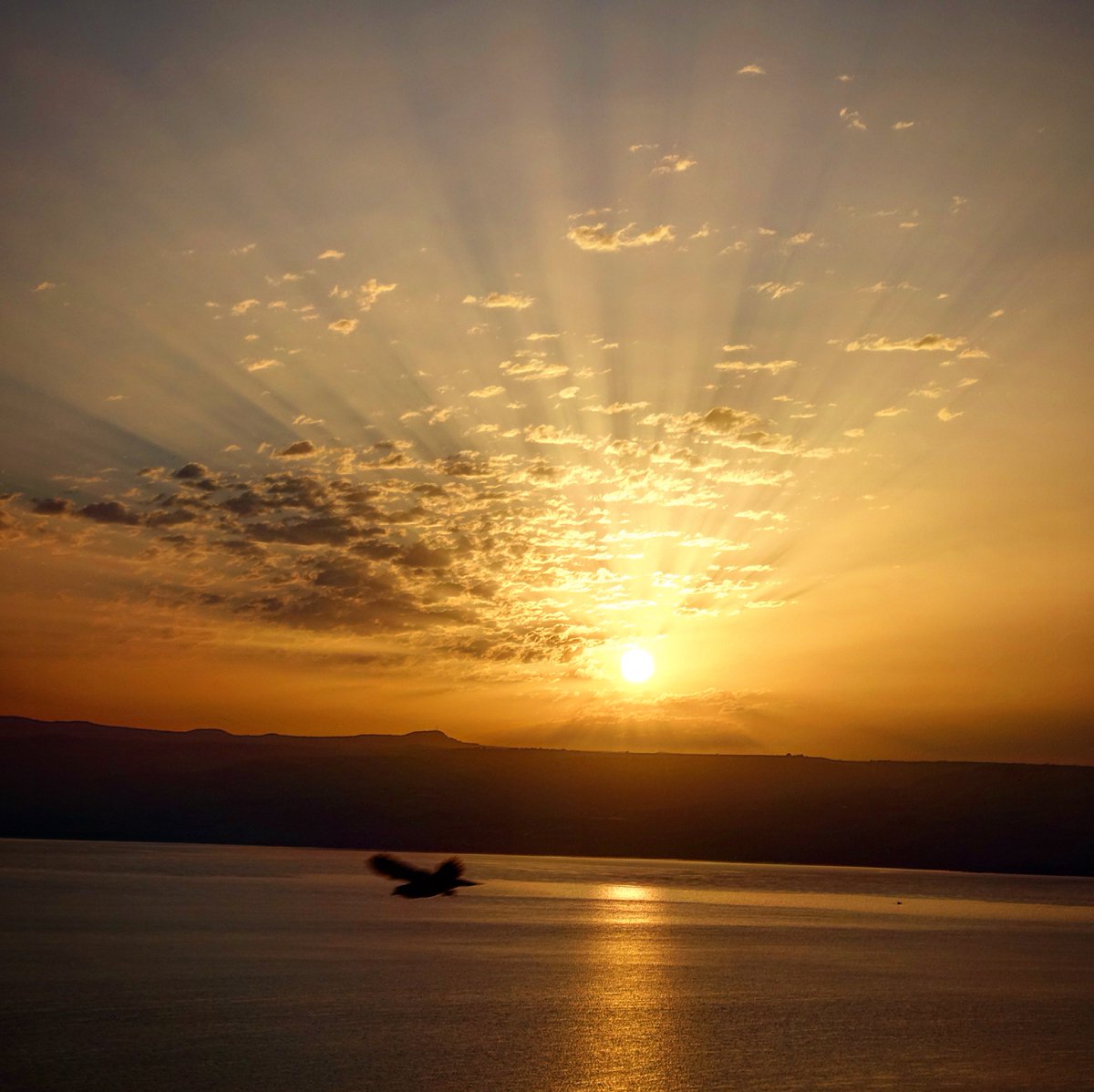 In this poem, Julian Alper reminisces about the legacy of an old man who used to sit beside him in synagogue.

thelehrhaus.com/timely-thought…