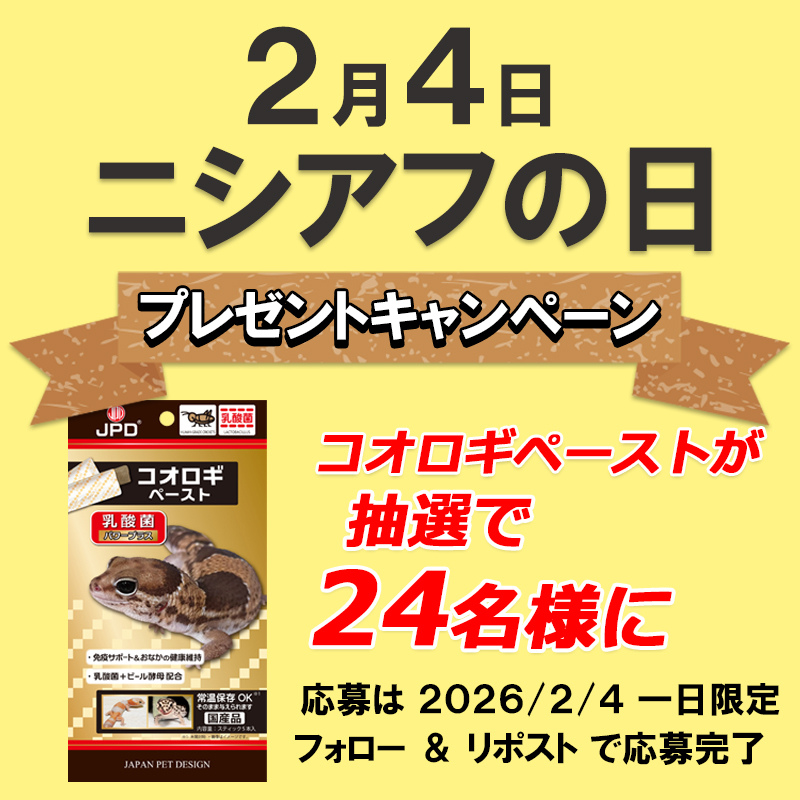 ＼プレキャン！／
本日、2月4日【ニシアフの日】ということで
パッケージがニシアフの乳酸菌プラスを
抽選で2⃣4⃣名様にプレゼント🎁
※ニシアフ以外の爬虫類もご使用いただけます

▼応募は▼
①<a href="/_JapanPetDesign/">日本動物薬品株式会社・ニチドウ</a> をフォロー&amp;
②この投稿をリポスト
期間：2月4日限定