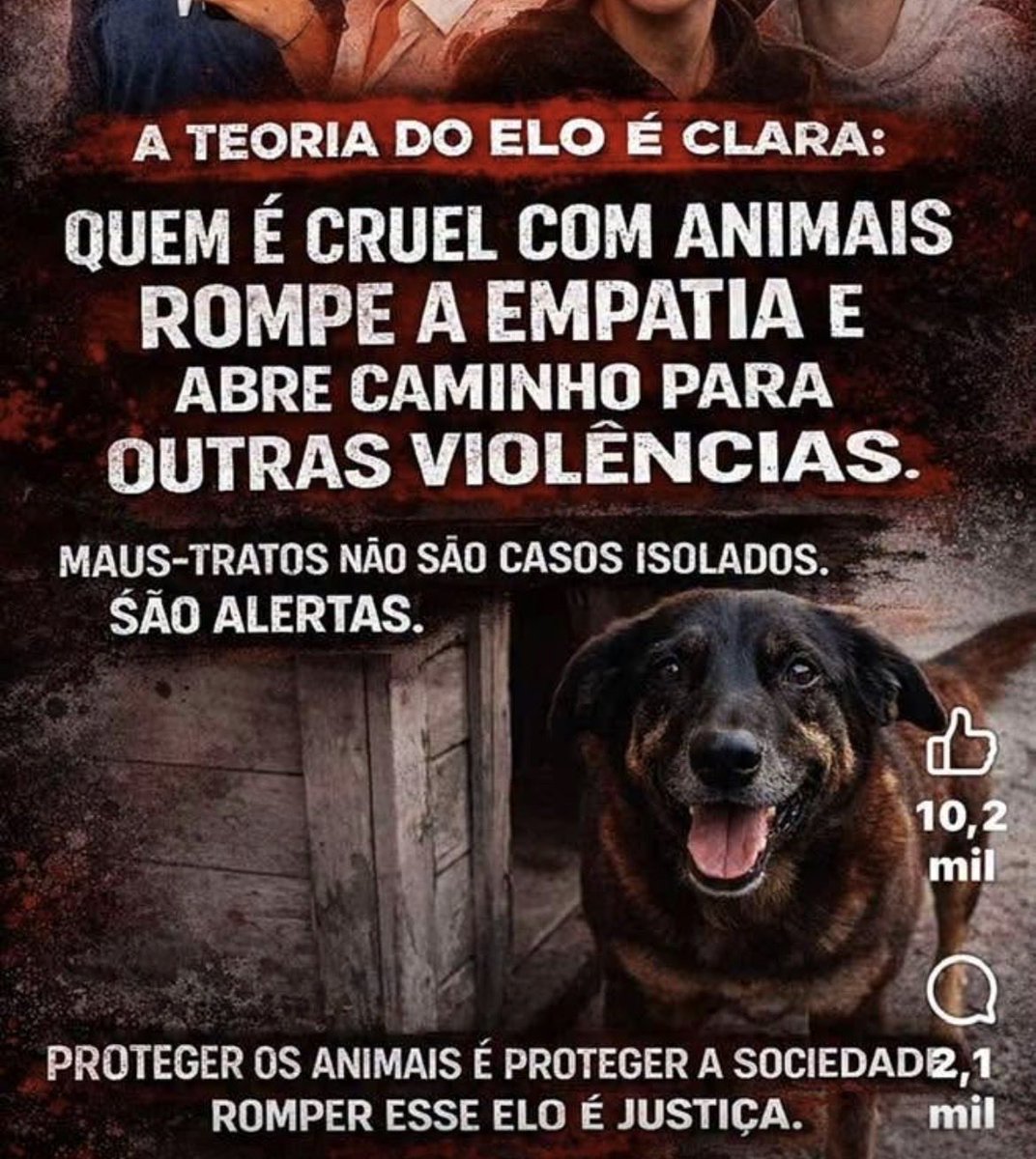 Lailaball's tweet photo. Deputados e senadores precisam fazer o que deve ser feito. Tornar crimes contra animais em hediondo!
Cadeia, regime fechado mesmo que sejam menores de idade!
Justiça pelo Orelha https://t.co/ogwE5btdFM